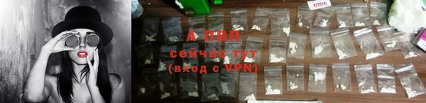 прущая мука Магас