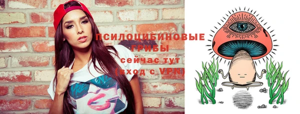 PSILOCYBIN Магадан