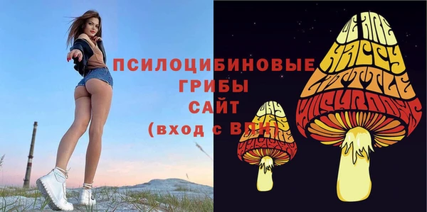 прущая мука Магас