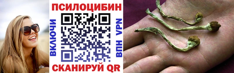 Галлюциногенные грибы ЛСД Мамадыш